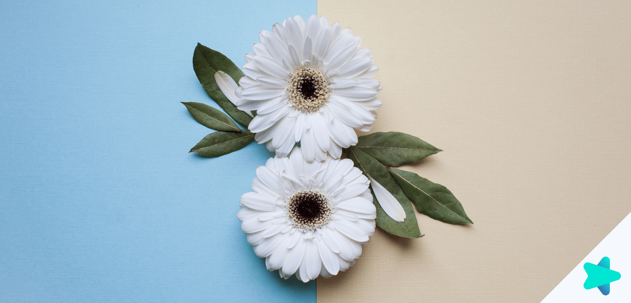 Blommor